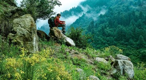 Why are there so many Israelis living in Kasol, Himachal Pradesh, India.